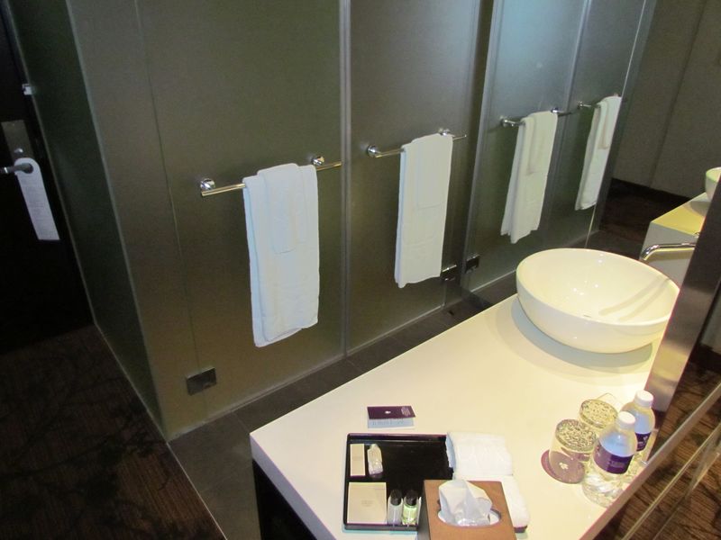 The bathroom area, while small, worked just fine.